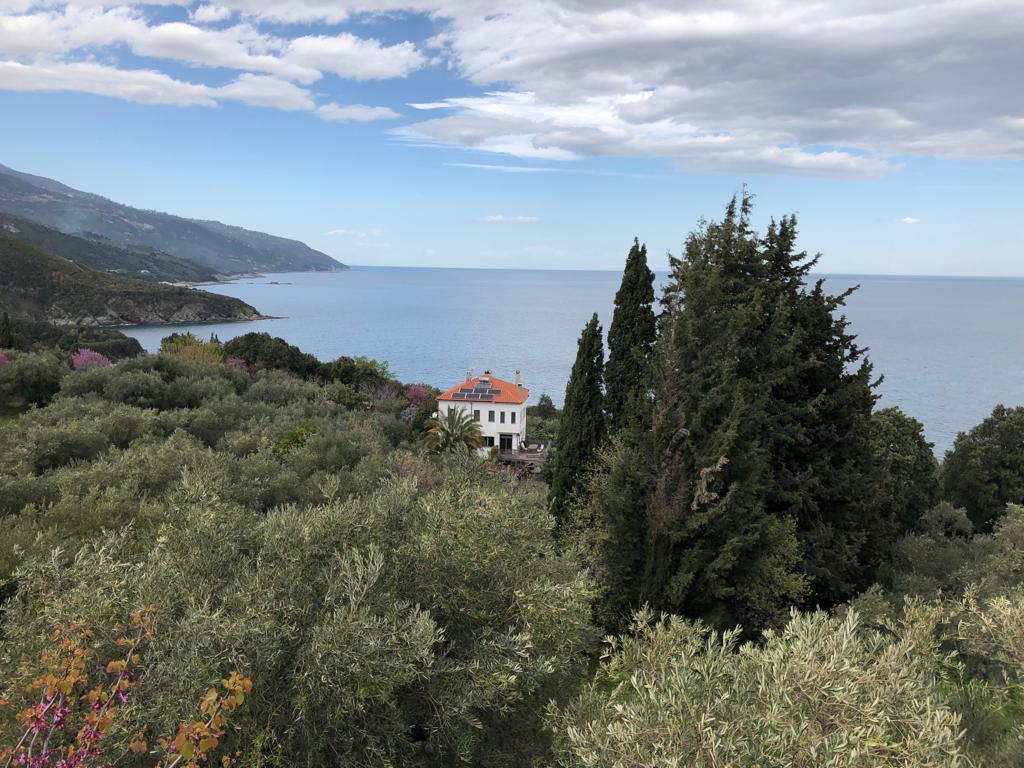PELIONESTATES real estate in GREECE on the Pelion, Skiathos, and the