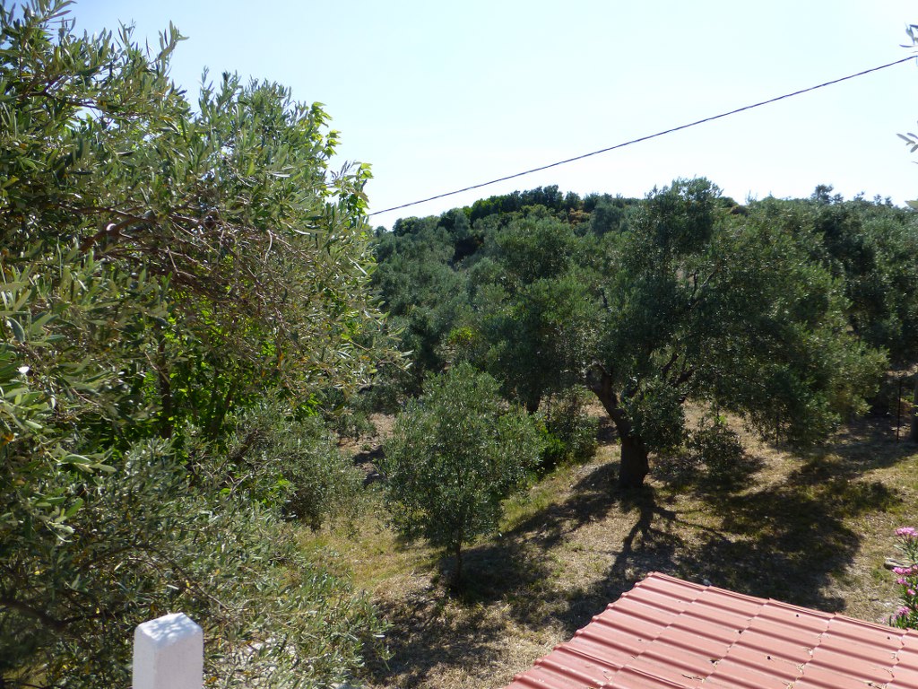 広島 ユニフォーム 東京